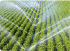 Agricultural irrigation